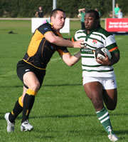 Harbor freight hose reel